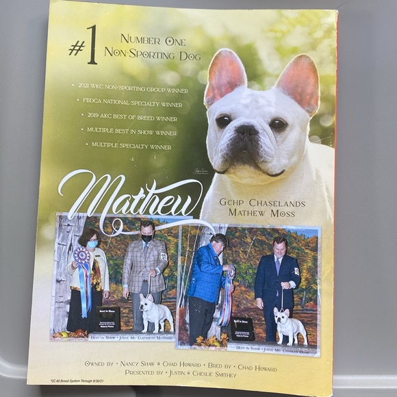 Canine Chronicle - Picture 3 of 3